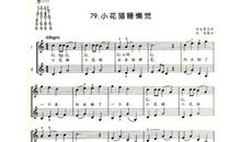 学小提琴之路作文