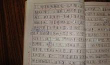 温暖的细节作文600字