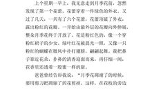 作文我喜欢的花