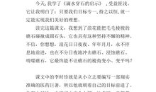 读了滴水穿石的读后感