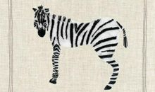 织出一匹斑马读后感