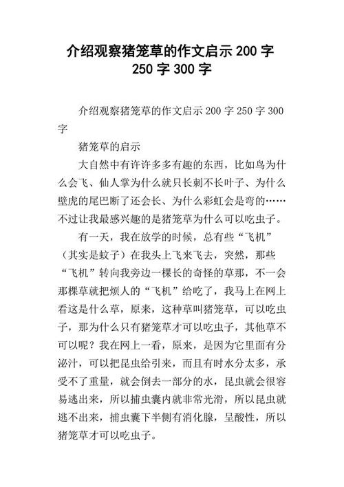 滑冰启蒙运动的组成