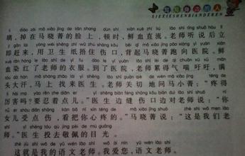 我的中文老师高中作文