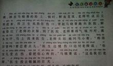 我的语文老师高中作文