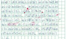 假如我是一朵云450字作文