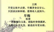 假如我是一朵梅花作文