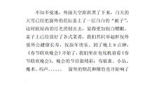 春节见闻作文600字