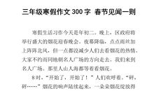春节见闻作文300字