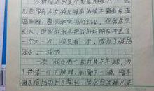 一件令我感动的事300字