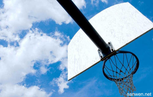 学习打篮球作文600字