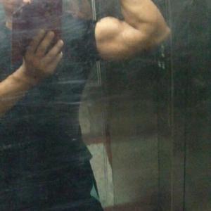 从动物那里获得灵感