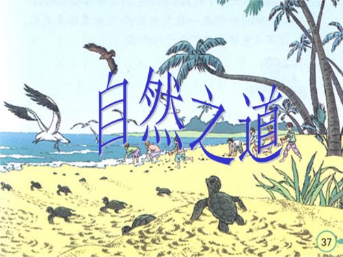 关于阅读自然之道的思考