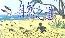 读自然之道有感