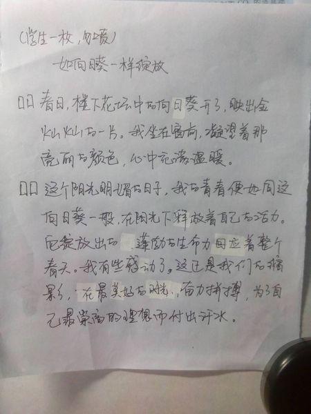 我喜欢向日葵成分