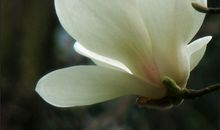 活着就是王道读后感