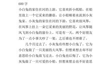 不一样的爱600字