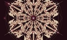 刺金时代读后感