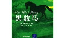黑骏马的读后感