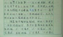 小学生作文我的老师