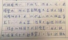 什么的爸爸作文