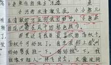 介绍西安的作文