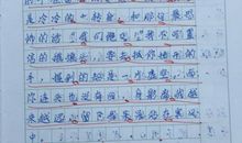 三年级作文我的老师