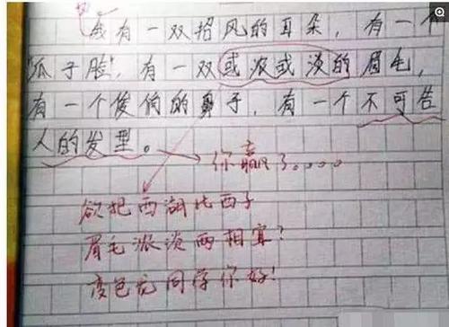 小学作文我的老师