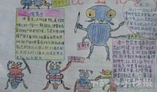 百科全书读后感500字