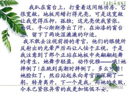 关于风暴主题的作文