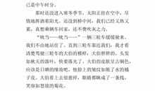 一件令我感动的作文