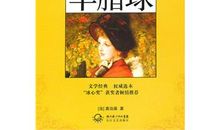 羊脂球的读后感