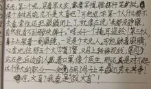 假文盲作文450字