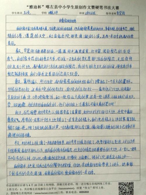 这是我二年级作文