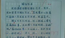 我爱画画作文300字