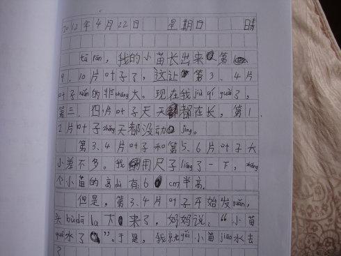 观察日记600字