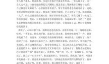 我的小制作作文