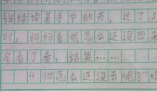 我的自画像800字