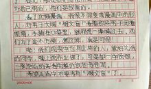 假文盲漫画作文