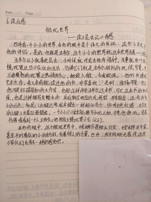 我对生活的看法