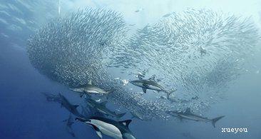 在海底阅读20,000英里后获得450个单词