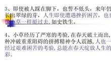 咏物抒怀的作文