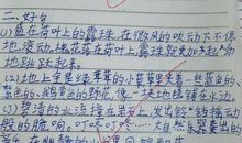 记一个平凡的人作文