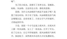 我的小制作作文200字