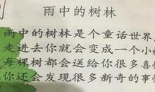 雨中感人故事作文