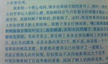 描写春天校园的作文