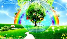 与美同行读后感