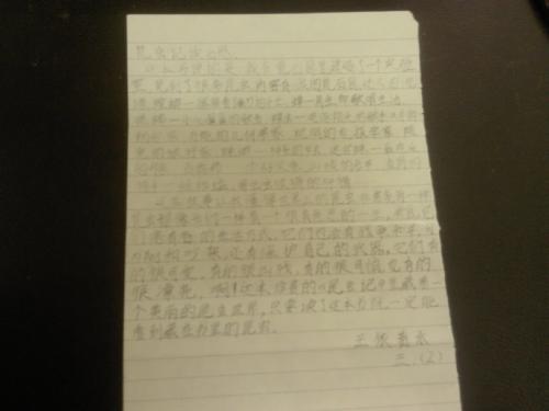 昆虫笔记10个字