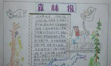 森林报的读后感