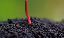 汪国真：热爱生命