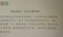 假如我有一只尼尔斯的鹅100字作文